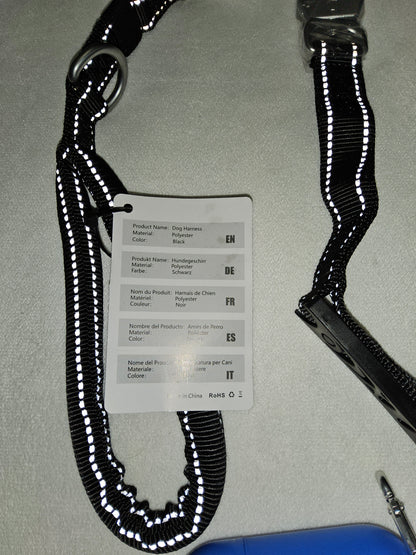 Heimtier Leine mit Anruckschutz ( Expanderleine)